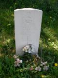 image of grave number 145447